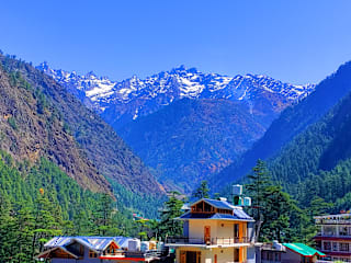 Fotos de Jungle by sturmfrei Kasol