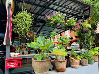 Photos of Baan Meesuk