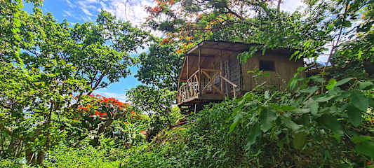 Butterfly Space Lodge의 사진