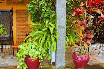 Fotos von