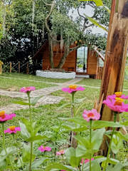 Photos of Cabanas La Miranda