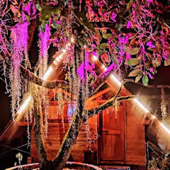 Photos of Cabanas La Miranda
