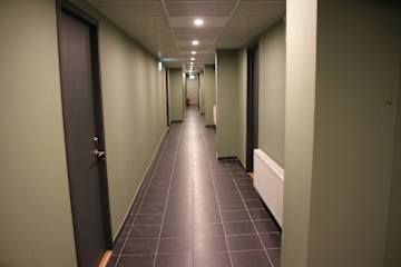 Bilder av