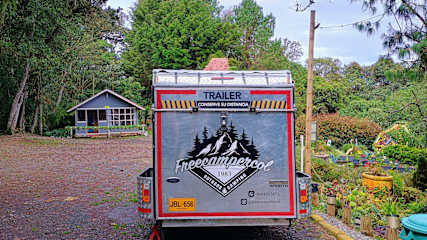Bilder av