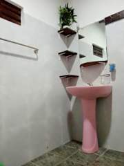 Lion's Gate Homestay의 사진