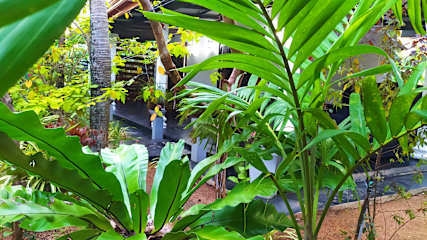 Photos of Yashi's Place Sigiriya