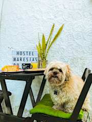 Fotos de Maresias do Leme Hostel