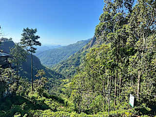 Photos de