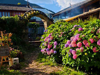 Photos of Cloud Meets Flower Farm Inn