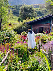 Photos of Cloud Meets Flower Farm Inn