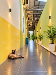 Amplazio Hostel Medanの写真