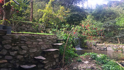 Fotos de 