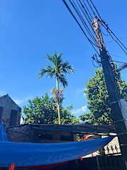 Photos of Gecko Backpackers Hostel