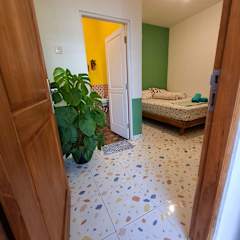 Fotos de The Backyard Hostel