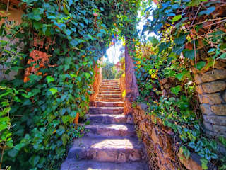 Photos of Hostal del Campo