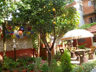 Photos de 