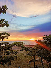 Photos of Beach Clan