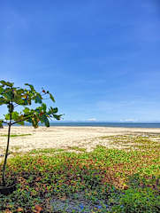 Photos of Beach Clan