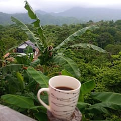 Mirador Del Parque Tayrona Hostelの写真