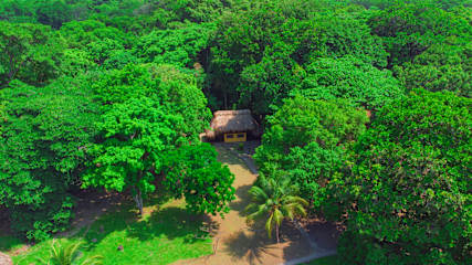 Fotos de