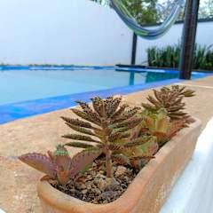 Casa Tavariの写真