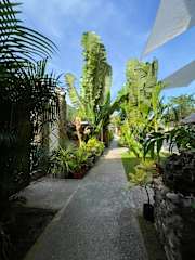Photos of The Hat Trick Hostel