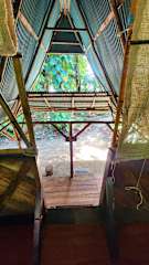 Fotos de Pacifico Hostel - Juan de Dios