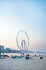 The Blue Parrot Hostel JBR의 사진