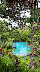 Fotos de Tetebatu Cabin Hut