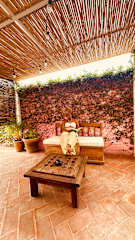 Photos of Casa Lool Beh
