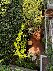 Photos of Casa Lool Beh