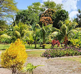 Fotos de