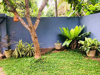 Fotos de Kottamba Villa Tangalle