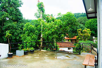 Photos of Diamond Shine