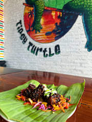 Fotos de Tipsy Turtle