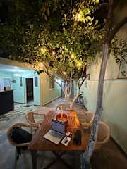 Lemon Breeze Hostelの写真