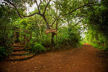 Photos of Khaama Kethna Ecovillage Agonda