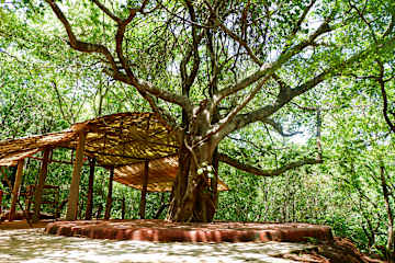 Photos of Khaama Kethna Ecovillage Agonda