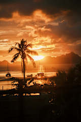 Photos of Maya Hostel El Nido