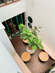 Photos of Casa en llamas