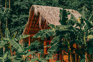 Photos of Magic Green Tayrona