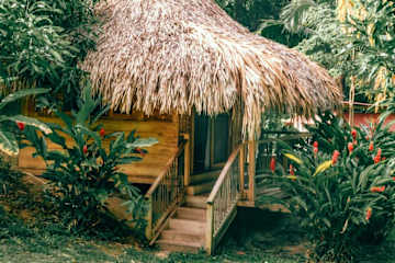 Photos of Magic Green Tayrona