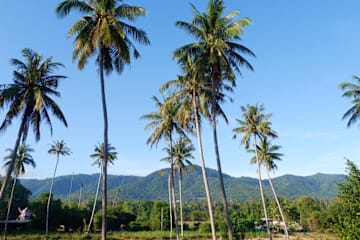 Photos of Amarin Samui Hotel
