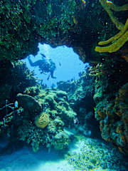 Fotos de Casamaya Hostel & Diving
