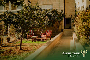 Fotos de Olive Tree Hostel