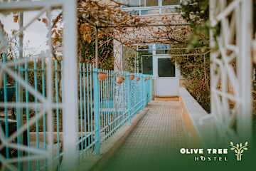 Fotos de Olive Tree Hostel
