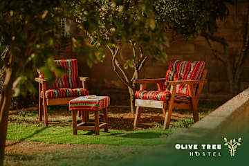 Fotos de Olive Tree Hostel
