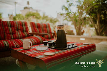 Fotos de Olive Tree Hostel
