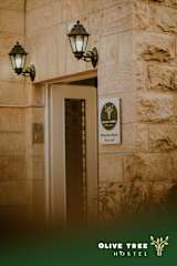 Fotos de Olive Tree Hostel