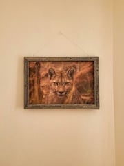 Photos of Hostel Tierra Patagonica